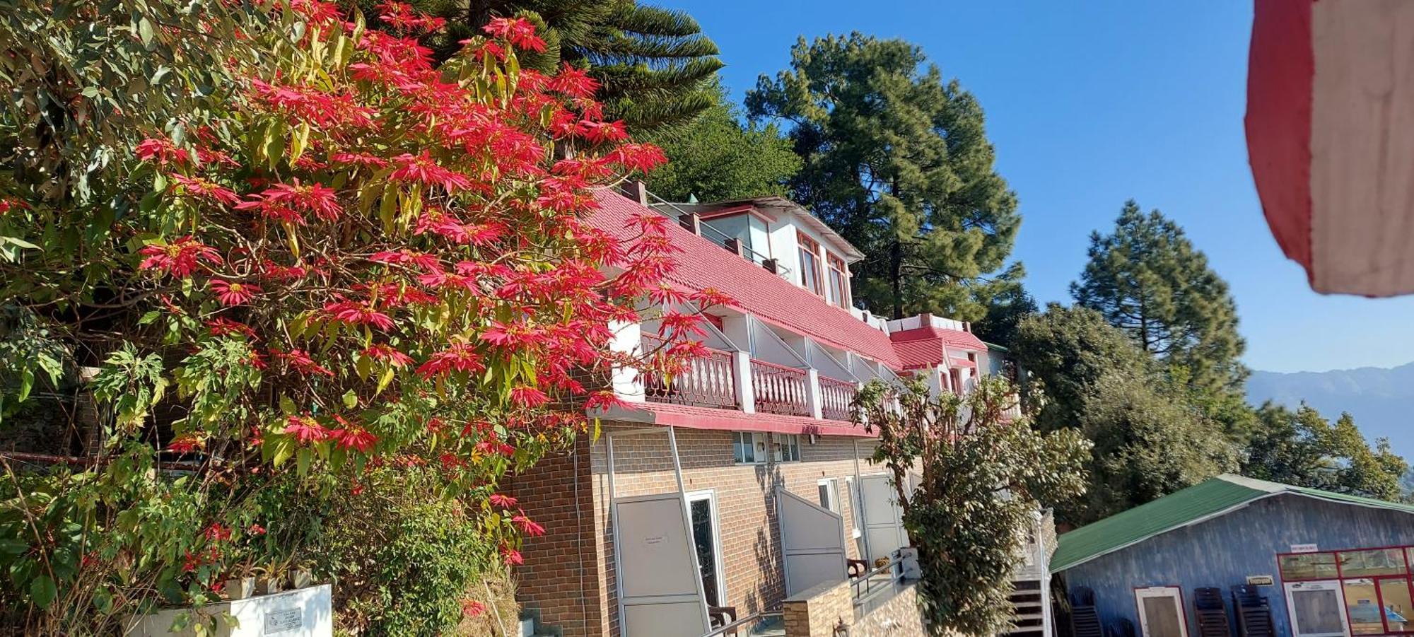 לנסדאון Blue Pine Resort מראה חיצוני תמונה